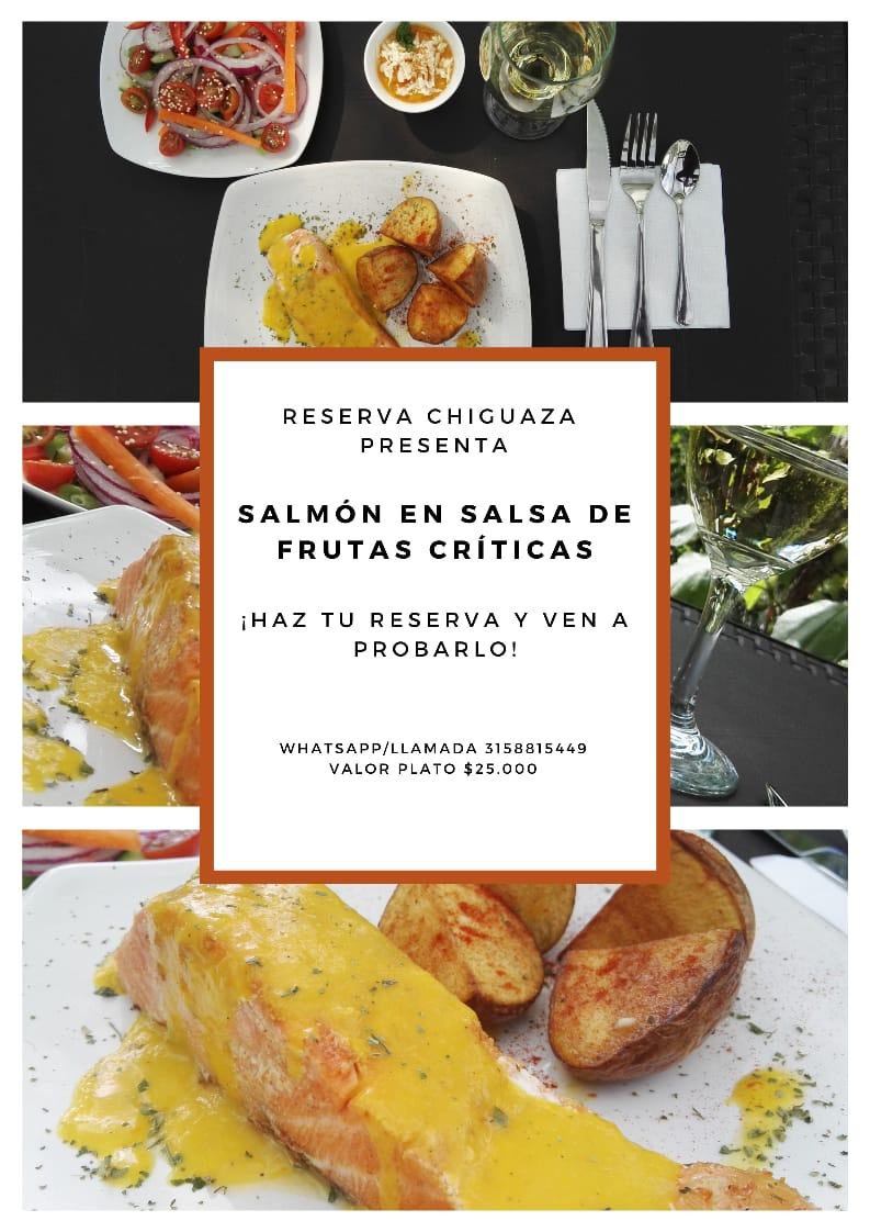 CATERING SALMON CITRICO RESERVA CHIGUAZA CATERING SALMON CITRICO RESERVA CHIGUAZA